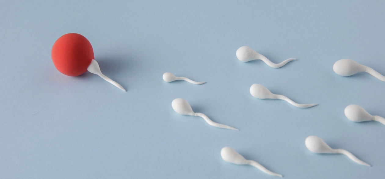 Sperm Analizi Sonuçları Nasıl Ele Alınır?