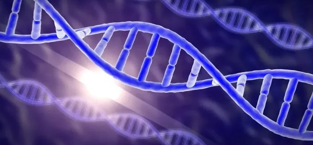 PGT-A, PGT-M ve PGT-SR Arasındaki Farklar